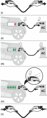 PHOENIX CONTACT charging cable TYPE 2  | 32A | 3phase | 22kW | 4 - 5 - 7m